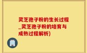 灵芝孢子粉的生长过程_灵芝孢子粉的培育与成熟过程解析)
