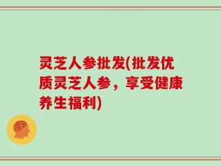 灵芝人参批发(批发优质灵芝人参，享受健康养生福利)