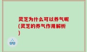 灵芝为什么可以养气呢(灵芝的养气作用解析)