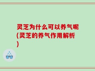 灵芝为什么可以养气呢(灵芝的养气作用解析)
