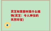 灵芝如意题材是什么植物(灵芝：令人神往的天然珍宝)