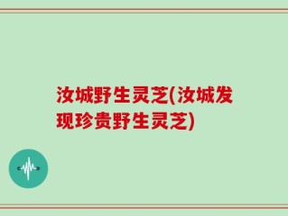 汝城野生灵芝(汝城发现珍贵野生灵芝)
