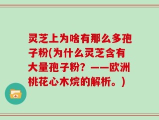 灵芝上为啥有那么多孢子粉(为什么灵芝含有大量孢子粉？——欧洲桃花心木烷的解析。)