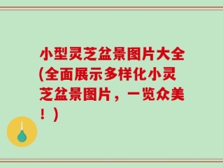小型灵芝盆景图片大全(全面展示多样化小灵芝盆景图片，一览众美！)