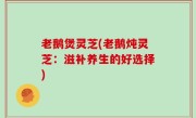 老鹅煲灵芝(老鹅炖灵芝：滋补养生的好选择)