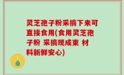 灵芝孢子粉采摘下来可直接食用(食用灵芝孢子粉 采摘现成束 材料新鲜安心)