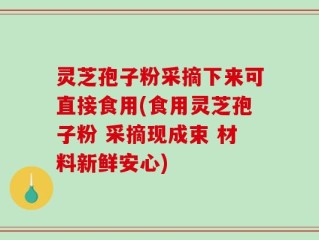 灵芝孢子粉采摘下来可直接食用(食用灵芝孢子粉 采摘现成束 材料新鲜安心)