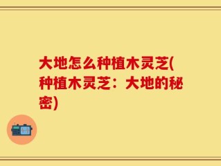 大地怎么种植木灵芝(种植木灵芝：大地的秘密)