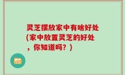 灵芝摆放家中有啥好处(家中放置灵芝的好处，你知道吗？)