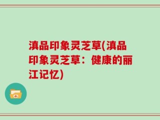 滇品印象灵芝草(滇品印象灵芝草：健康的丽江记忆)