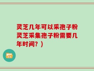 灵芝几年可以采孢子粉灵芝采集孢子粉需要几年时间？)