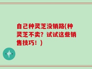 自己种灵芝没销路(种灵芝不卖？试试这些销售技巧！)