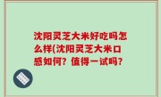沈阳灵芝大米好吃吗怎么样(沈阳灵芝大米口感如何？值得一试吗？