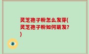 灵芝孢子粉怎么发芽(灵芝孢子粉如何萌发？)