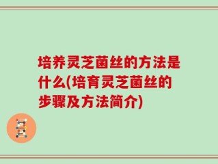 培养灵芝菌丝的方法是什么(培育灵芝菌丝的步骤及方法简介)