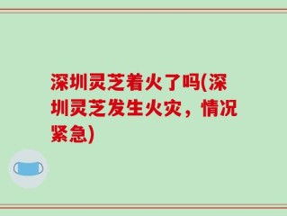 深圳灵芝着火了吗(深圳灵芝发生火灾，情况紧急)