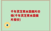 千年灵芝煮水壶图片价格(千年灵芝煮水壶图片报价)