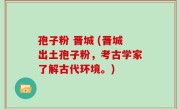 孢子粉 晋城 (晋城出土孢子粉，考古学家了解古代环境。)
