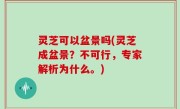 灵芝可以盆景吗(灵芝成盆景？不可行，专家解析为什么。)