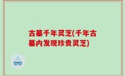古墓千年灵芝(千年古墓内发现珍贵灵芝)