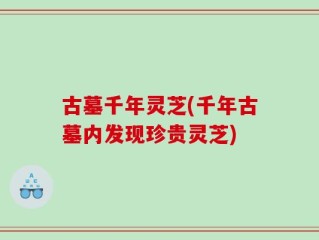 古墓千年灵芝(千年古墓内发现珍贵灵芝)