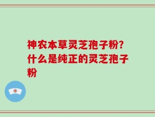 神农本草灵芝孢子粉？什么是纯正的灵芝孢子粉