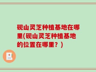 砚山灵芝种植基地在哪里(砚山灵芝种植基地的位置在哪里？)