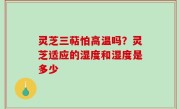 灵芝三萜怕高温吗？灵芝适应的湿度和湿度是多少