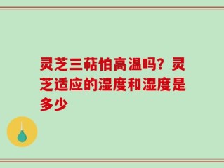 灵芝三萜怕高温吗？灵芝适应的湿度和湿度是多少