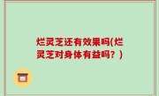烂灵芝还有效果吗(烂灵芝对身体有益吗？)