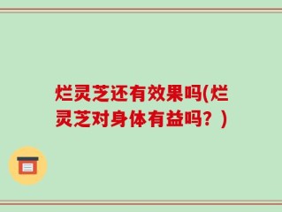 烂灵芝还有效果吗(烂灵芝对身体有益吗？)