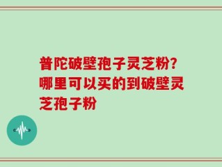 普陀破壁孢子灵芝粉？哪里可以买的到破壁灵芝孢子粉