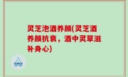 灵芝泡酒养颜(灵芝酒养颜抗衰，酒中灵草滋补身心)