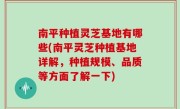 南平种植灵芝基地有哪些(南平灵芝种植基地详解，种植规模、品质等方面了解一下)