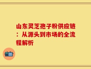 山东灵芝孢子粉供应链：从源头到市场的全流程解析