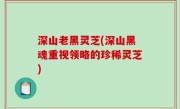 深山老黑灵芝(深山黑魂重视领略的珍稀灵芝)