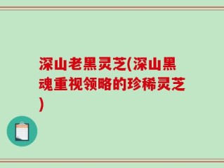 深山老黑灵芝(深山黑魂重视领略的珍稀灵芝)