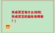 天成灵芝有什么功效(天成灵芝的益处有哪些？)