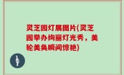 灵芝园灯展图片(灵芝园举办绚丽灯光秀，美轮美奂瞬间惊艳)