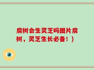 腐树会生灵芝吗图片腐树，灵芝生长必备！)