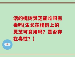 活的槐树灵芝能吃吗有毒吗(生长在槐树上的灵芝可食用吗？是否存在毒性？)