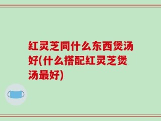 红灵芝同什么东西煲汤好(什么搭配红灵芝煲汤最好)