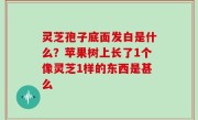 灵芝孢子底面发白是什么？苹果树上长了1个像灵芝1样的东西是甚么