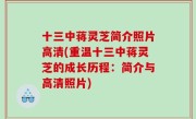 十三中蒋灵芝简介照片高清(重温十三中蒋灵芝的成长历程：简介与高清照片)