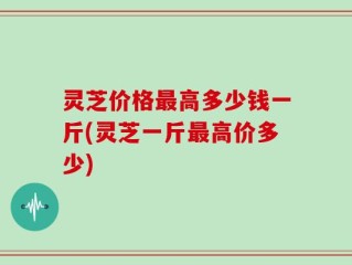 灵芝价格最高多少钱一斤(灵芝一斤最高价多少)