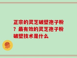 正宗的灵芝破壁孢子粉？最有效的灵芝孢子粉破壁技术是什么