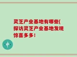 灵芝产业基地有哪些(探访灵芝产业基地发现惊喜多多！