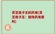 灵芝孢子王的药用(灵芝孢子王：强效药用原料)