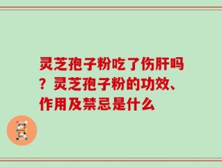 灵芝孢子粉吃了伤肝吗？灵芝孢子粉的功效、作用及禁忌是什么
