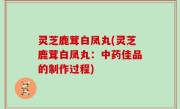 灵芝鹿茸白凤丸(灵芝鹿茸白凤丸：中药佳品的制作过程)